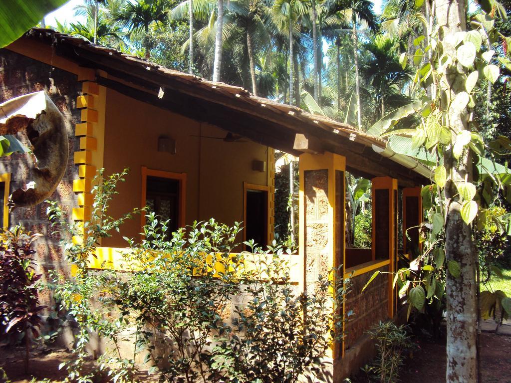 Dudhsagar Plantation Villa Cormonem Exterior foto
